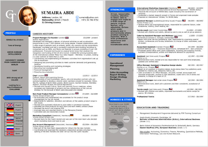 Leading Infographic Resume CV Sample